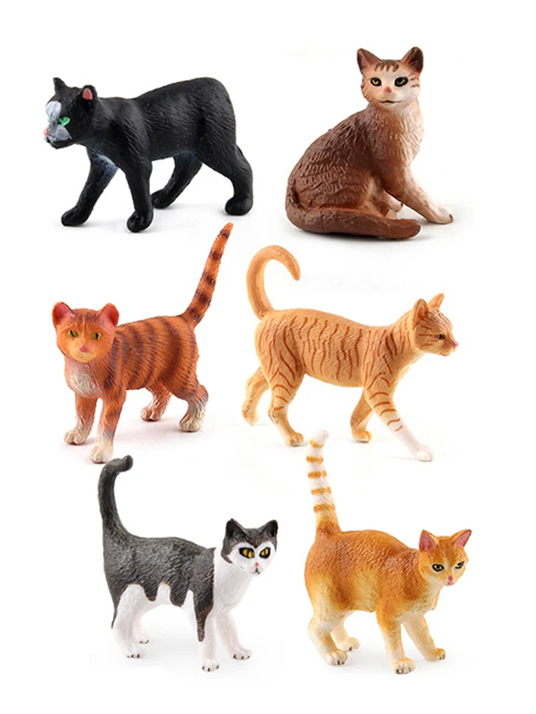 Miniature ลูกแมว Bengal Ragdol - Kids Toys Reviews บทวิจารณ์และราคา